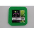 Chopped Parsley Cubes